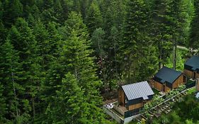 Norway Cabins